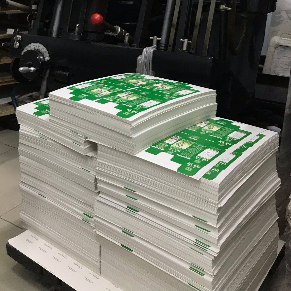 in hộp giấy Thới An