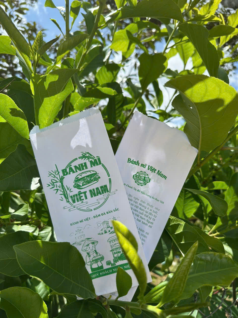 Túi giấy bánh mì in thương hiệu An Phúc