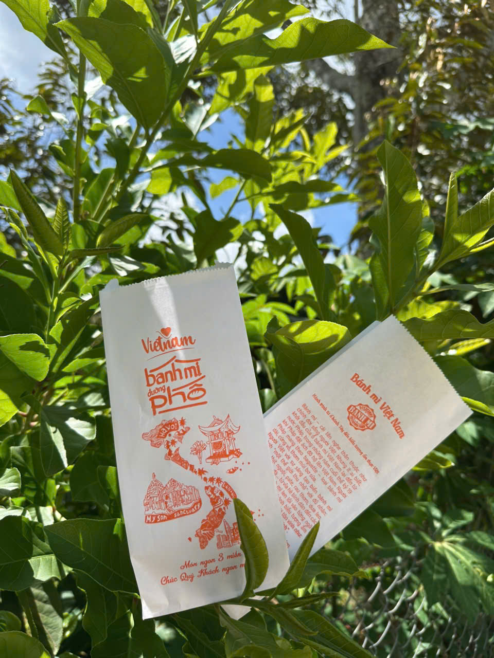 Túi giấy bánh mì thiết kế theo yêu cầu