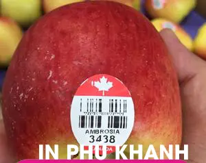 Tem 30x20mm, Decal giấy, Không cán màng             (2).webp