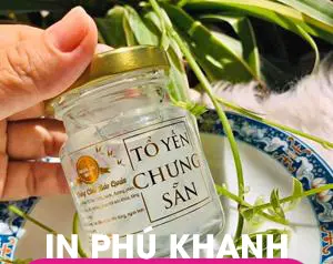 100 con Decal nhựa trong