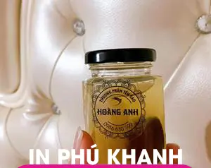 100 con Decal nhựa trong