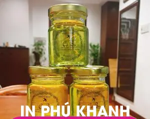 100 con Decal nhựa trong