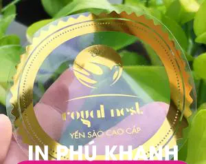 100 con Decal nhựa trong