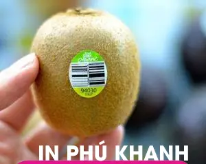 100 con Decal nhựa trắng