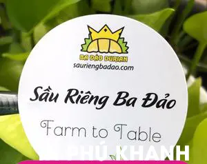 100 con Decal nhựa trắng