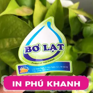 100 con Decal nhựa trắng