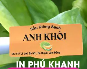 100 con Decal nhựa trắng