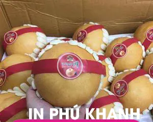 100 con Decal giấy