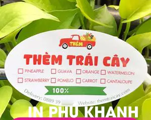 100 con Decal giấy