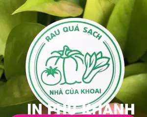 100 con Decal giấy