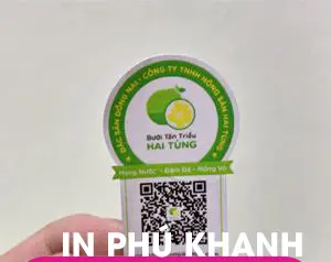 100 con Decal giấy